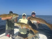 Fishing in Morehead City, North Carolina