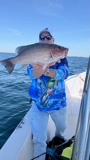 Fishing in Panama City, Florida