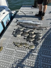 Fishing in Morehead City, North Carolina