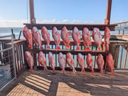 Fishing in Corpus Christi, Texas