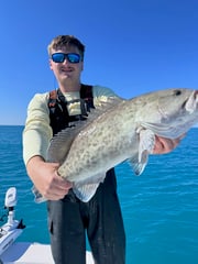 Fishing in Sarasota, Florida