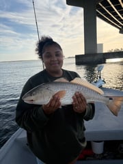Fishing in Orange Beach, Alabama