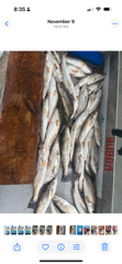Fishing in New Orleans, Louisiana
