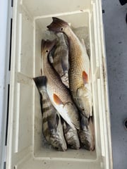 Fishing in Port Aransas, Texas