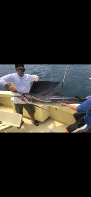 Fishing in Hollywood, Florida