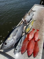 Fishing in Stuart, Florida