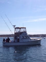 Fishing in Montauk, New York