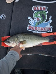 Fishing in Alba, Texas
