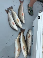 Fishing in Matagorda, Texas