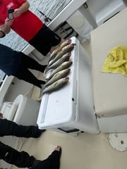 Fishing in Stevensville, Maryland