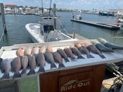 Fishing in Key West, Florida