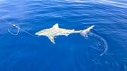 Fishing in Clearwater, Florida