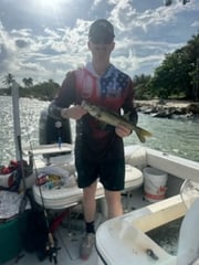 Fishing in Naples, Florida