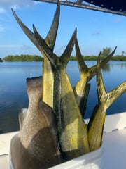 Fishing in Key West, Florida