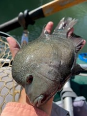 Fishing in New Braunfels, Texas