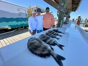 Fishing in Gulf Shores, Alabama