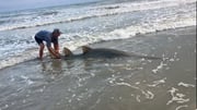 Fishing in New Smyrna Beach, Florida