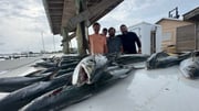 Fishing in Gulf Shores, Alabama
