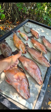Fishing in Vero Beach, Florida