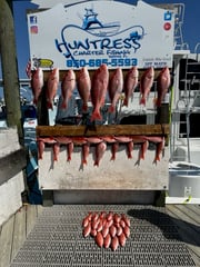 Fishing in Destin, Florida
