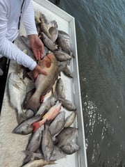 Fishing in Clearwater, Florida