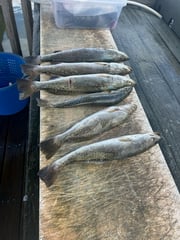 Fishing in Rockport, Texas