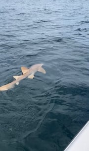 Fishing in Panama City, Florida