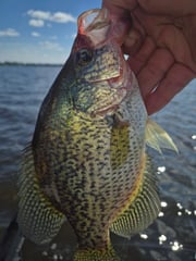Fishing in Wisconsin Rapids, Wisconsin