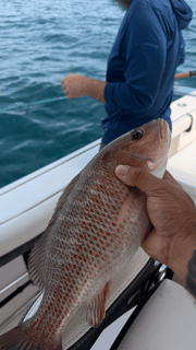 Fishing in Bokeelia, Florida
