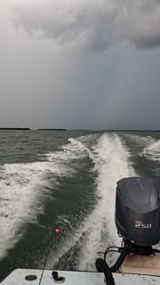 Fishing in Holmes Beach, Florida