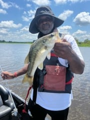 Fishing in Ridgeland, Mississippi