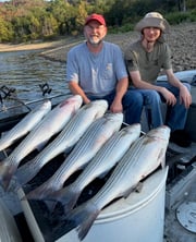 Fishing in Rogers, Arkansas