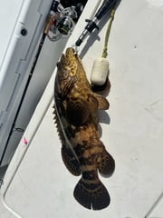 Fishing in Homestead, Florida