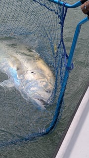Fishing in Stuart, Florida