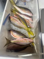 Fishing in Key Largo, Florida