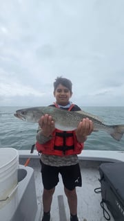 Fishing in South Padre Island, Texas