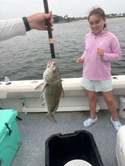 Fishing in Orange Beach, Alabama
