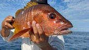 Fishing in Punta Mita, Mexico