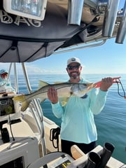 Fishing in Sarasota, Florida