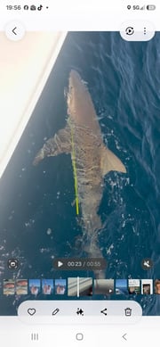 Fishing in Panama City Beach, Florida