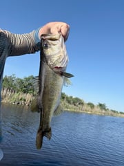 Fishing in Weston, Florida