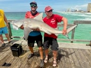 Fishing in Navarre, Florida