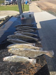 Fishing in Galveston, Texas
