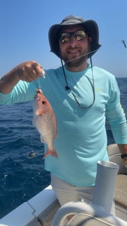 Fishing in Mount Pleasant, South Carolina