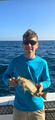 Fishing in Sarasota, Florida