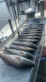 Fishing in Biloxi, Mississippi