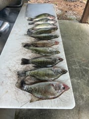 Fishing in Oxford, Mississippi
