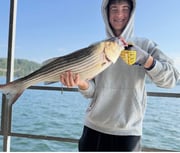 Fishing in Rogers, Arkansas