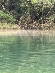 Fishing in Heber Springs, Arkansas