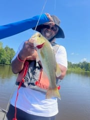 Fishing in Ridgeland, Mississippi